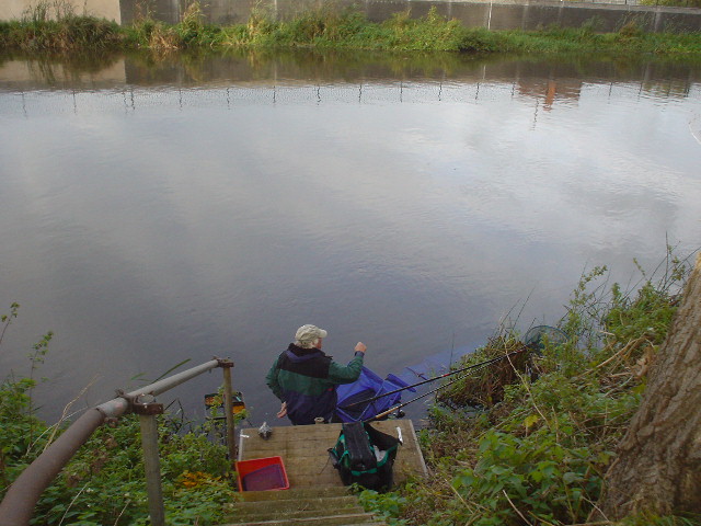 Baileys Meadow River Trent