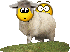 Image hotlink - 'http://simplematchfishing.co.uk/yabbfiles/Smilies/wooly.gif'